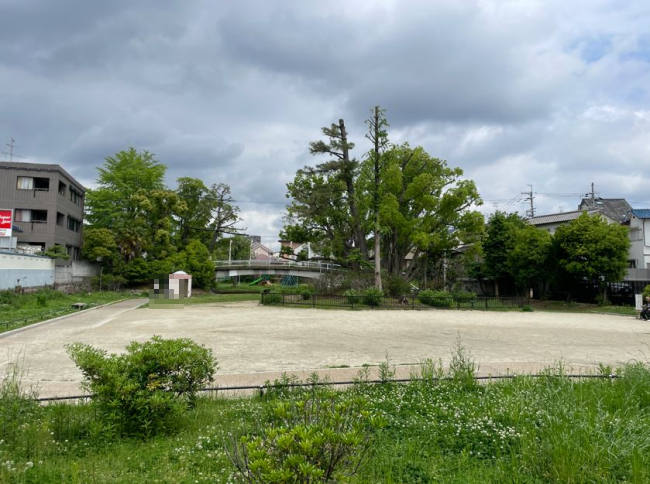 公園　萩の寺公園（公園）まで293m