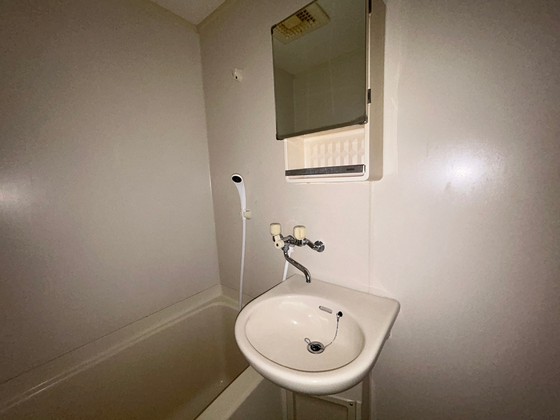 洗面設備　※別部屋の写真です