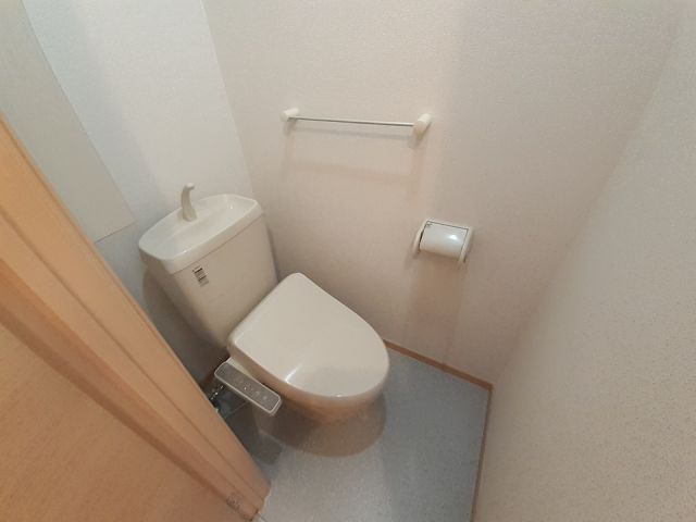 南海本線 北助松駅 徒歩14分 2階建 築17年のトイレ写真