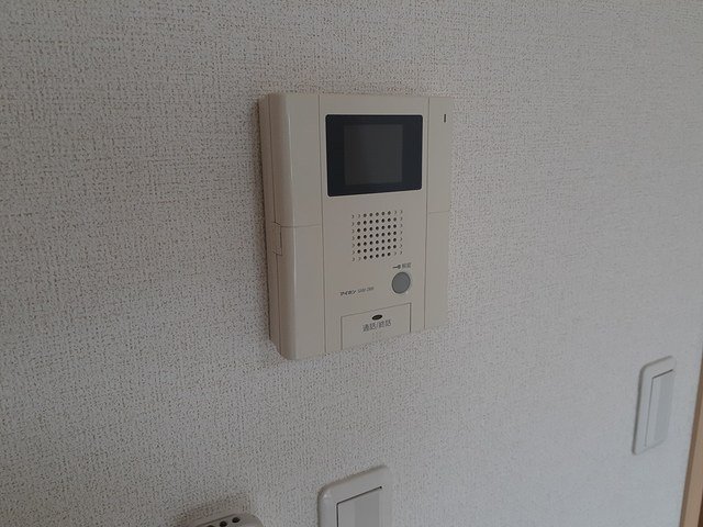 ホメ ラウレアのその他写真