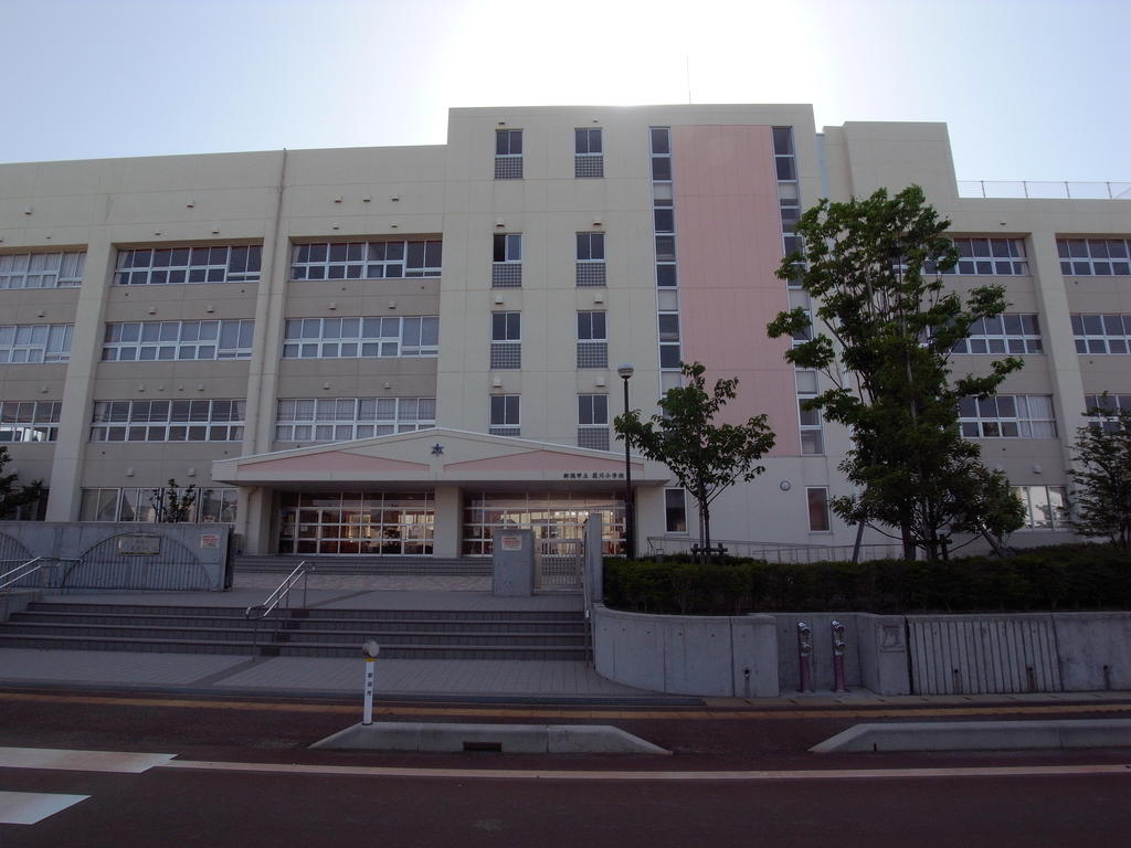 小学校　新潟市立荻川小学校（小学校）まで331m