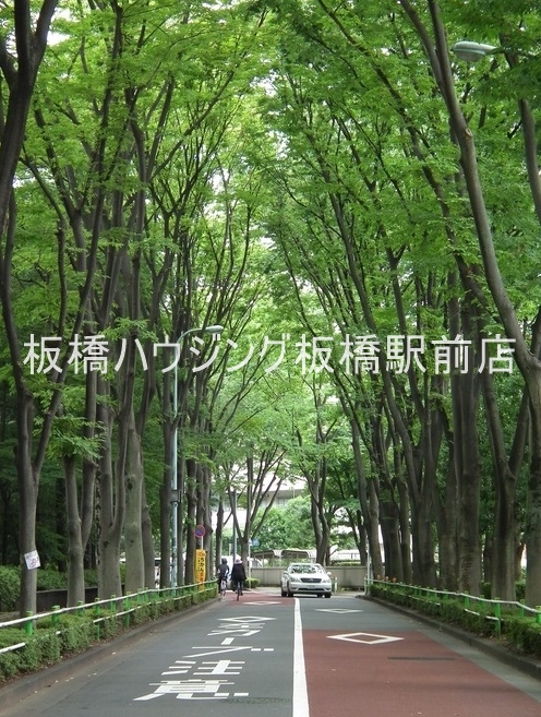 ロワール赤塚の周辺写真