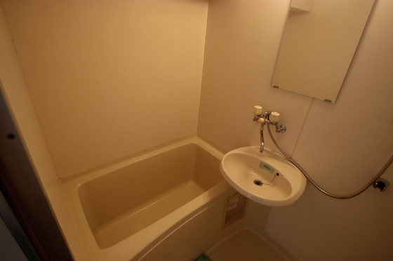 バス・シャワールーム　※別部屋の写真です