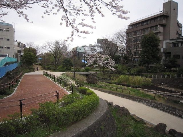 【プライマルフロント錦糸町の公園】