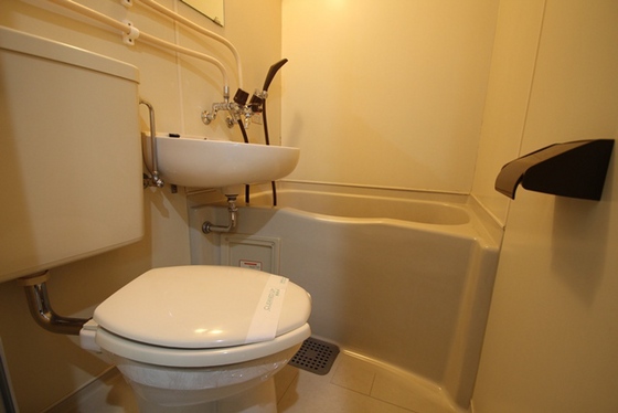 トイレ　※別号室の写真です