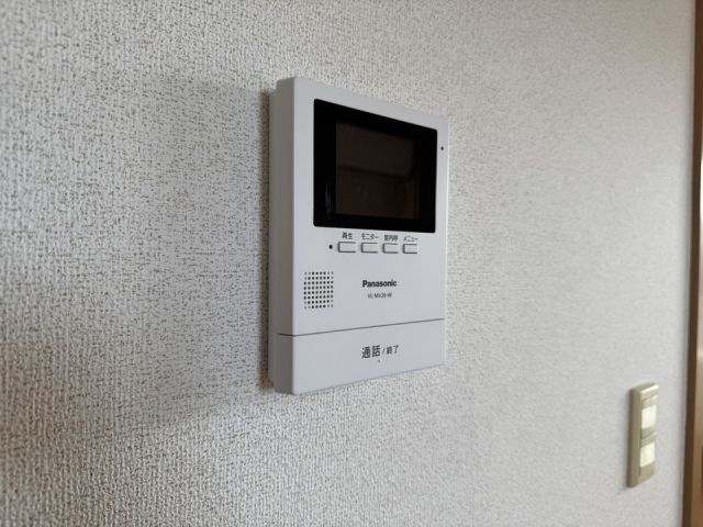 カメーリア・Kのその他写真