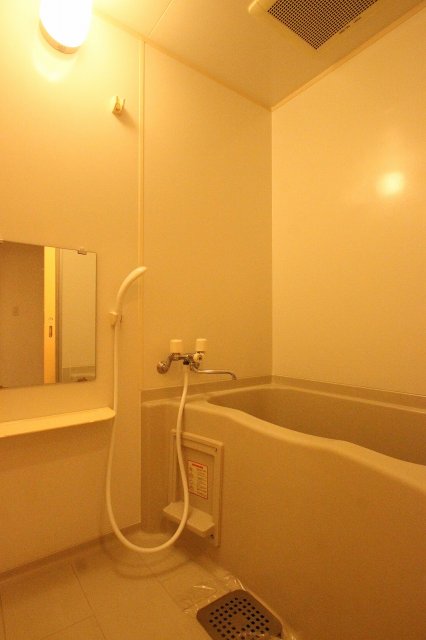 バス・シャワールーム　同物件、別号室のものです。