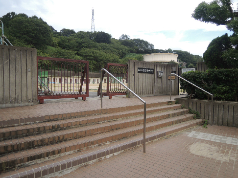 中学校　柏原市立堅下南中学校（中学校）まで493m