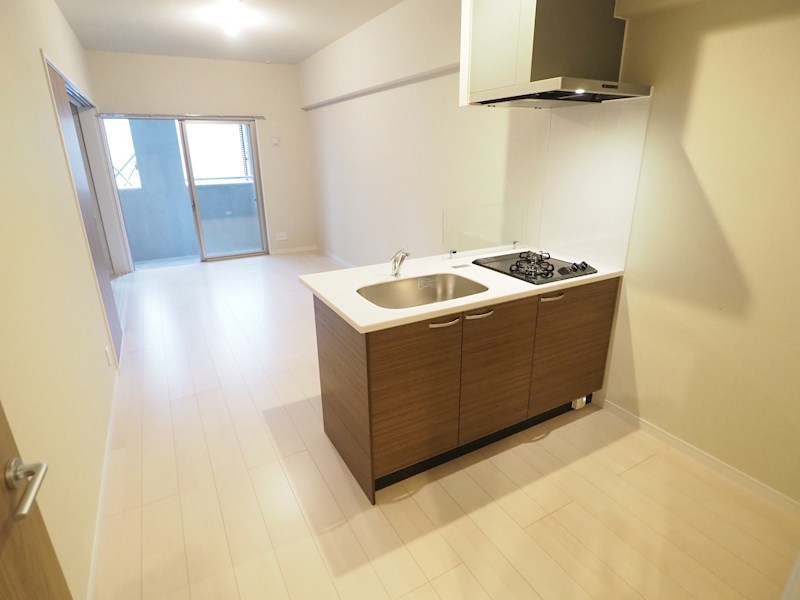 その他設備　奥行きのある１ＬＤＫ