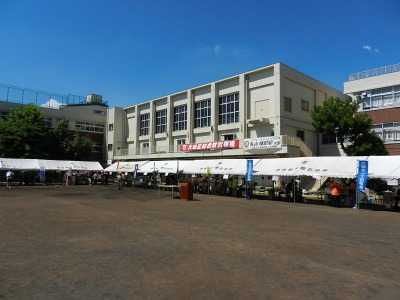 小学校　大田区立入新井第一小学校（小学校）まで215m