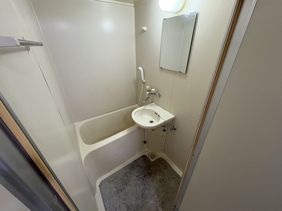 バス・シャワールーム　※別部屋の写真です