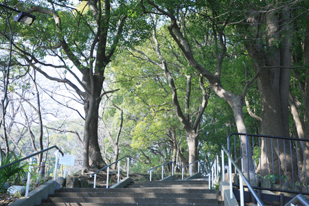 公園　常盤公園（公園）まで880m