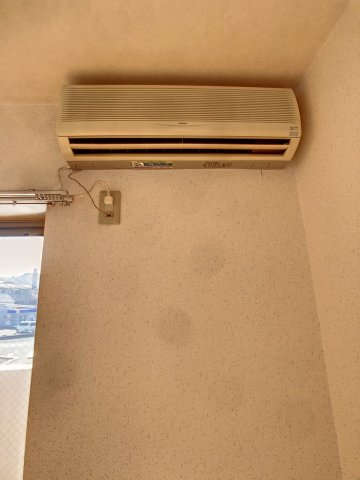 その他　2023年1月撮影