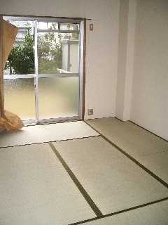 居室・リビング　南向き　暖かく落ち着ける畳のお部屋！