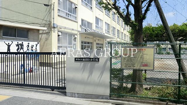 小学校　中野区立桃園第二小学校（小学校）まで556m