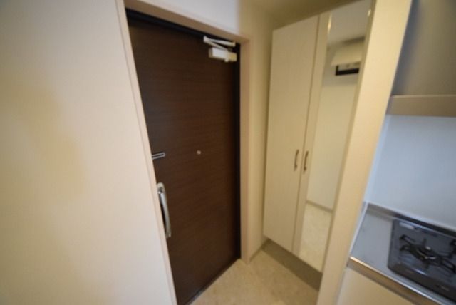 玄関　※同建物　反転タイプ別室の参考写真　現況優先