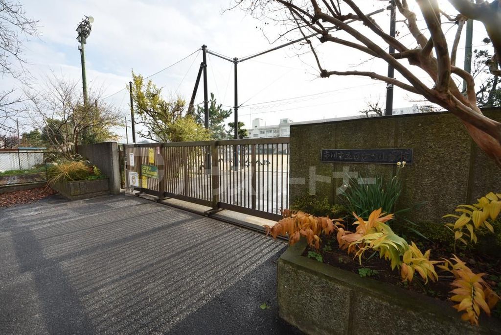 小学校　市川市立百合台小学校（小学校）まで510m