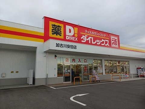 その他　ダイレックス安田まで750m