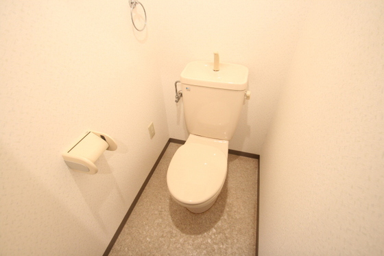 トイレ　※別号室の写真です