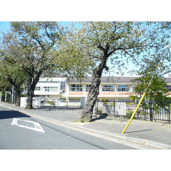 小学校　水戸市立五軒小学校（小学校）まで1245m