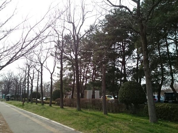 公園　亀田公園（公園）まで3000m