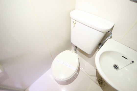 トイレ　※別号室の写真です