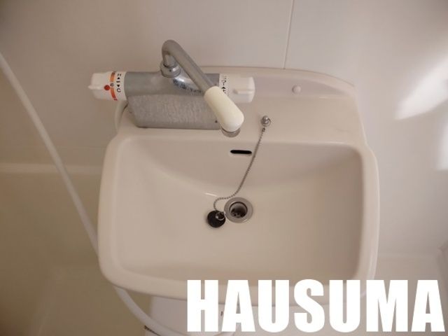 洗面設備　※他号室写真使用