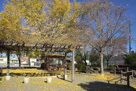 公園　いちょう公園（公園）まで526m