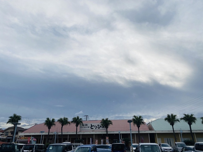 飲食店　とりひめ（飲食店）まで500m