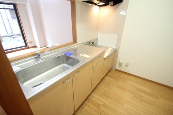 キッチン　※別部屋の写真です