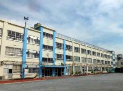 小学校　中野区立みなみの小学校（小学校）まで208m