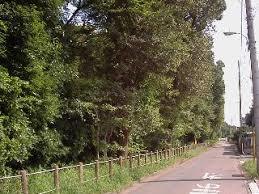 公園　山久保自然緑地（公園）まで283m