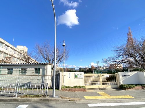 中学校　堺市立八田荘中学校（中学校）まで1255m