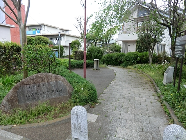 公園　江古四しいの木公園（公園）まで355m