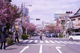 ショッピングセンター　桜新町商店街（ショッピングセンター）まで730m