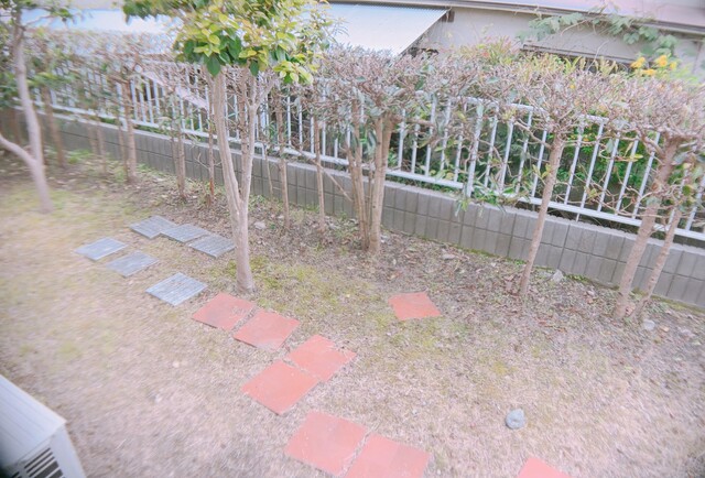 庭