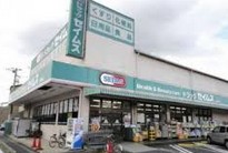 ドラックストア　ドラッグセイムス塚越店（ドラッグストア）まで871m