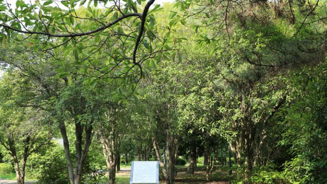 公園　においの森(大阪城公園)（公園）まで1223m