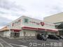 その他　くすりのレディ丸亀土器店まで300m