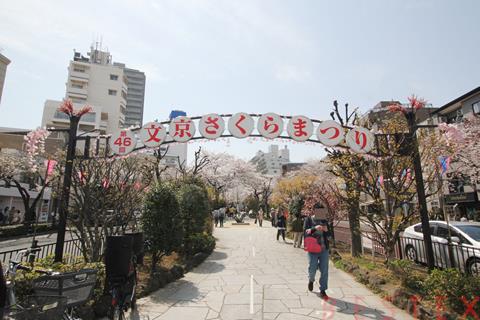 公園　播磨坂さくら並木（公園）まで469m