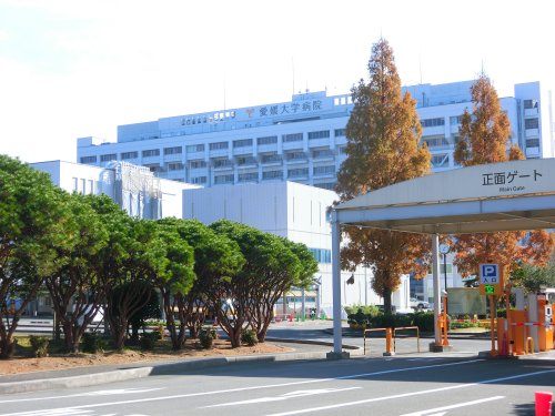 大学・短大　愛媛大学医学部（大学・短大）まで486m