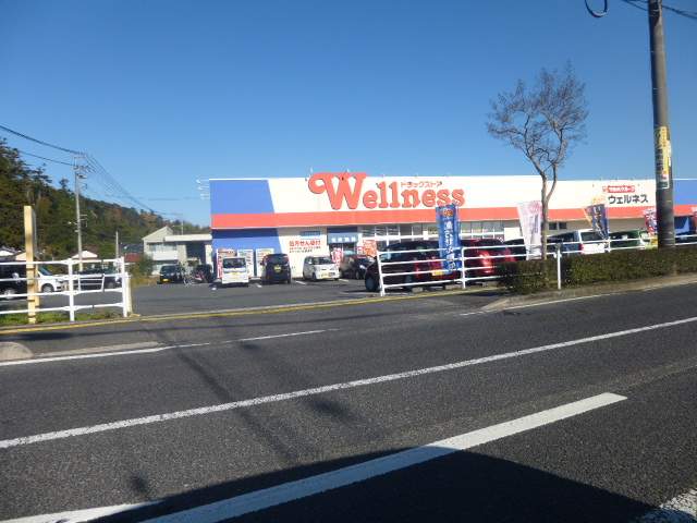 ドラックストア　ウェルネス　春日店（ドラッグストア）まで1200m