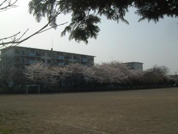 小学校　昭島市立田中小学校（小学校）まで815m
