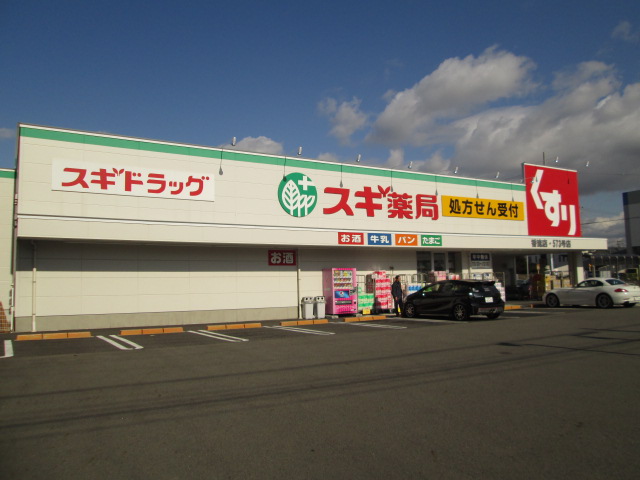 ドラックストア　スギ薬局（ドラッグストア）まで300m