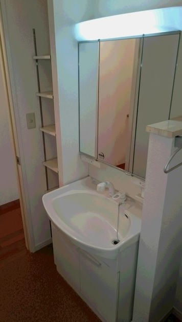 洗面設備　別タイプ部屋　参考写真です