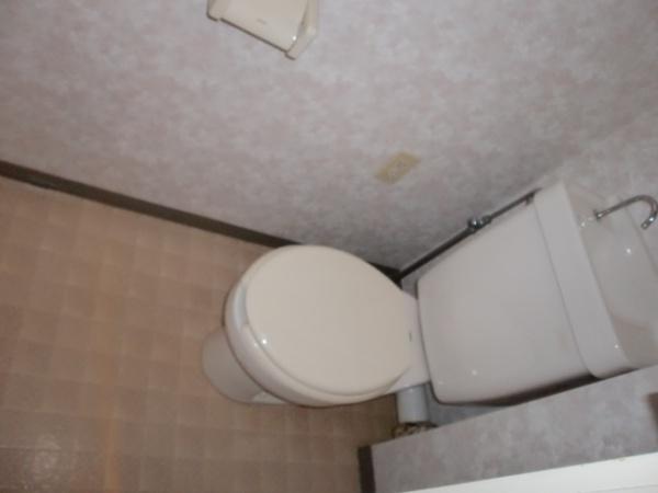 ドエルクロコのトイレ写真