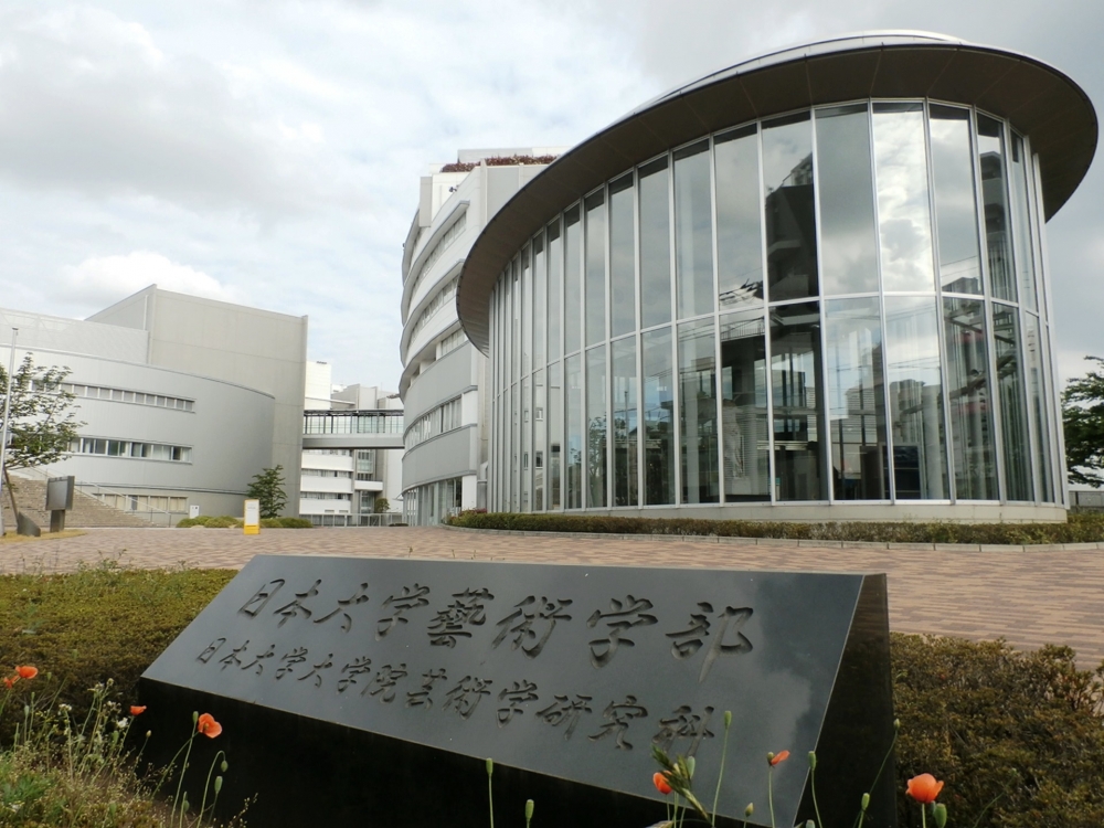 大学・短大　日本大学 芸術学部（大学・短大）まで515m