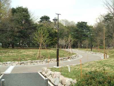 公園　中野区立 江古田の森公園（公園）まで1541m