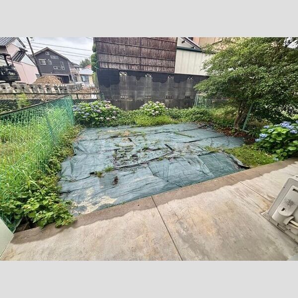庭