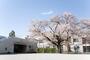 幼稚園・保育園　国立学園附属かたばみ幼稚園（幼稚園・保育園）まで543m